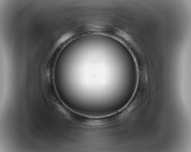 X0000086281402200704122039