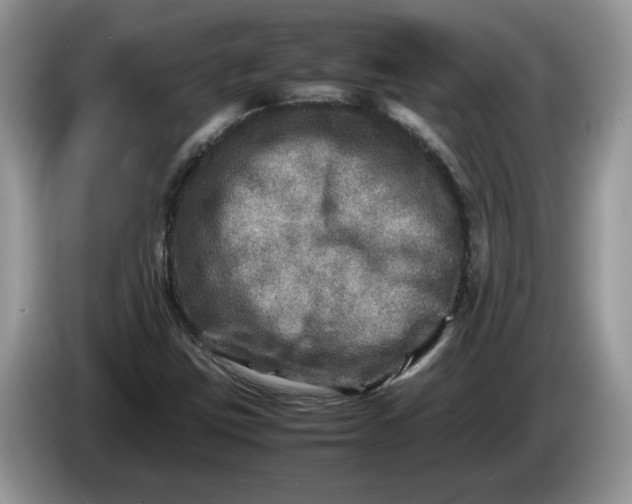 X0000086281403200704122039