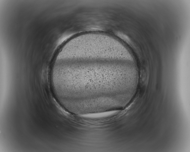 X0000086281404200704122039