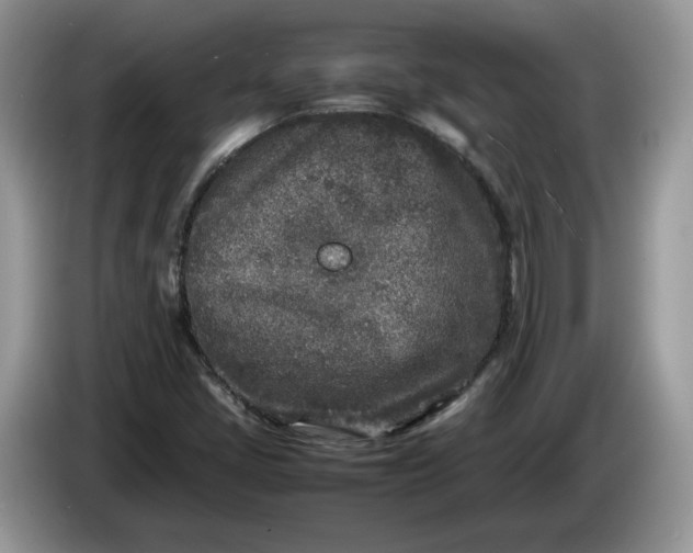 X0000086281405200704122039