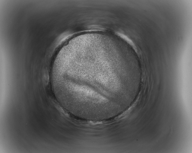 X0000086281407200704122039