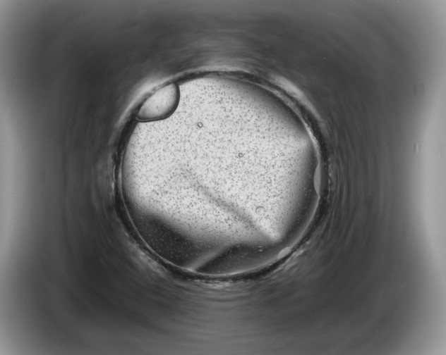 X0000086281408200704122039