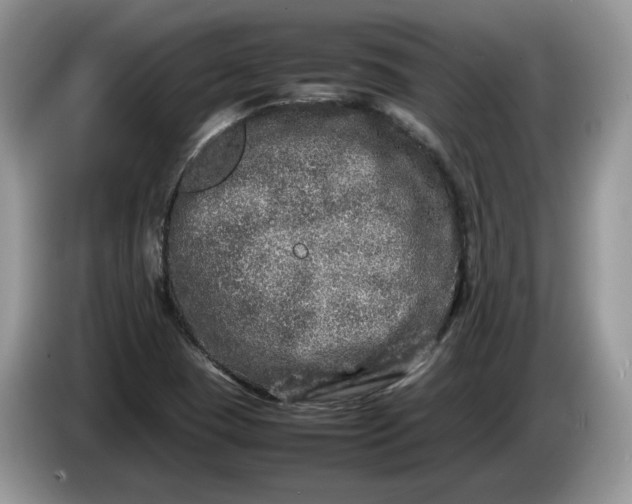 X0000086281409200704122039