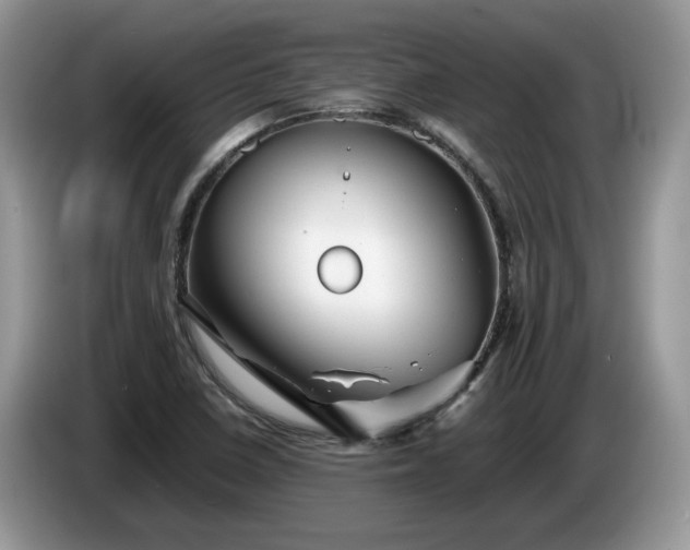 X0000086281410200704122039