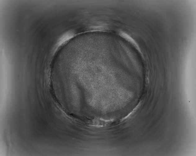 X0000086281411200704122039