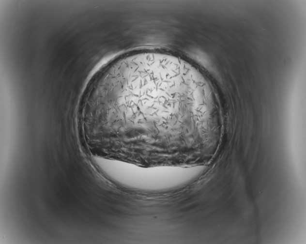 X0000086281412200704122039