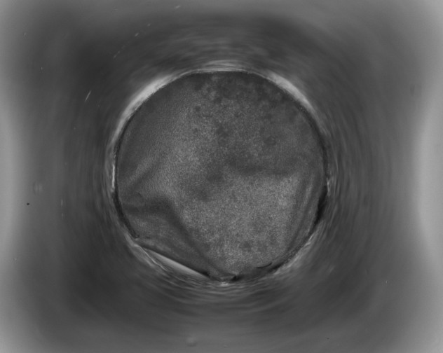 X0000086281413200704122039