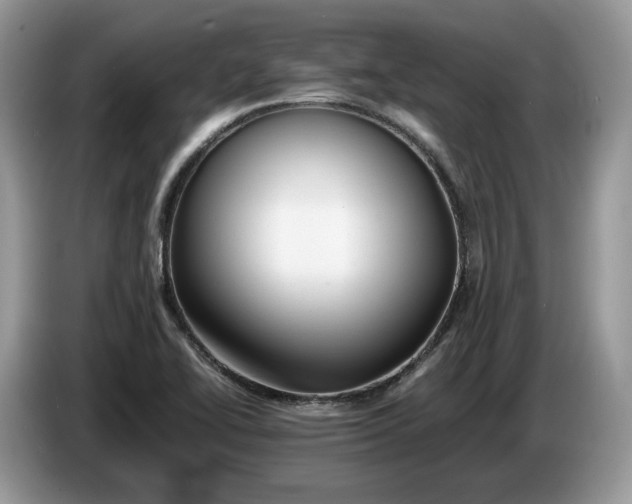 X0000086281414200704122039