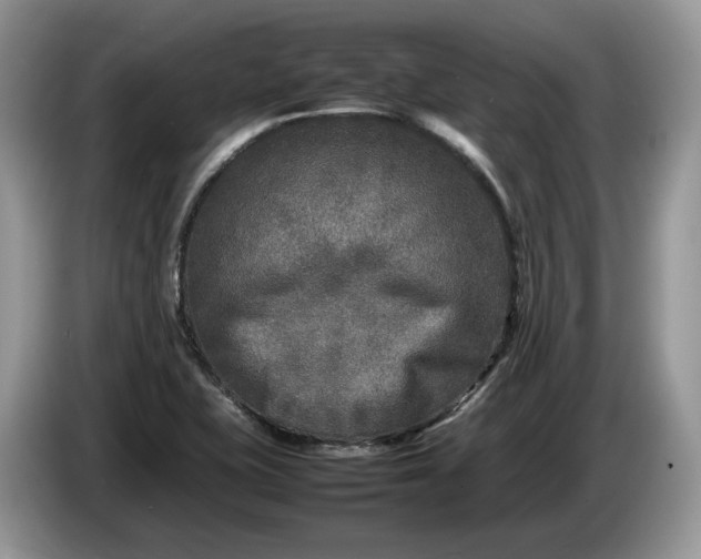 X0000086281415200704122039