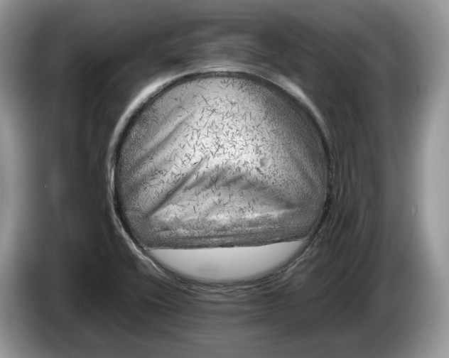 X0000086281416200704122039