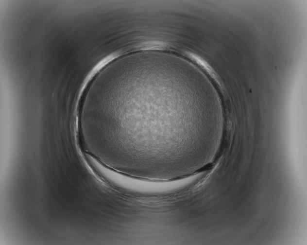 X0000086281418200704122039