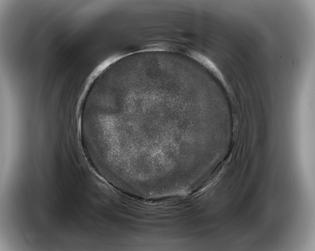 X0000086281419200704122039