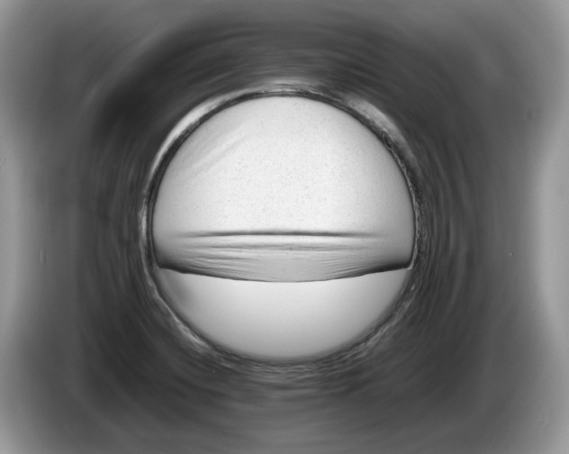 X0000086281420200704122039