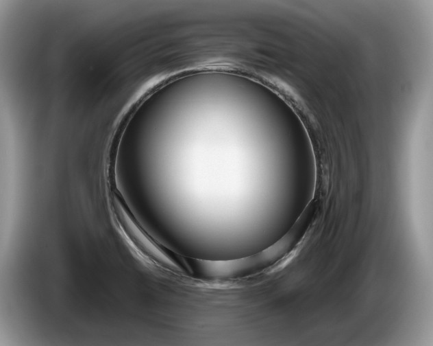 X0000086281422200704122039