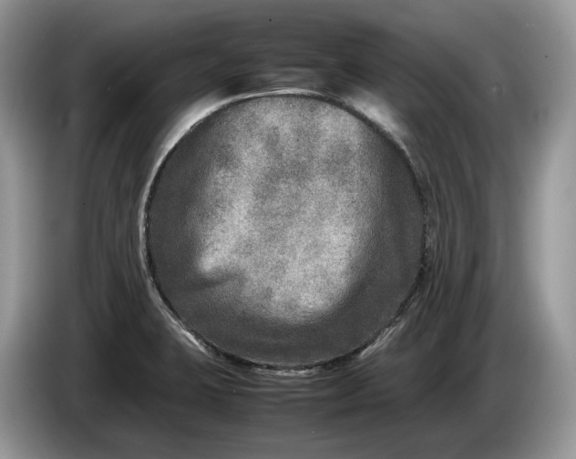 X0000086281423200704122039