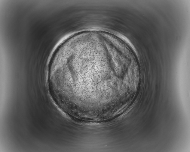 X0000086281424200704122039