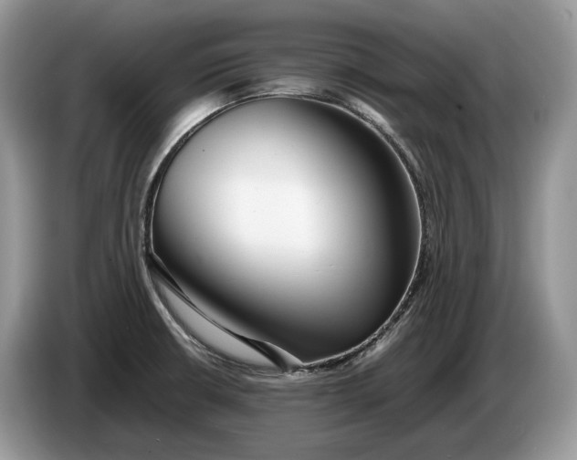 X0000086281426200704122039