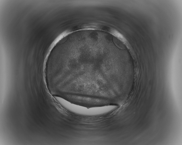 X0000086281427200704122039