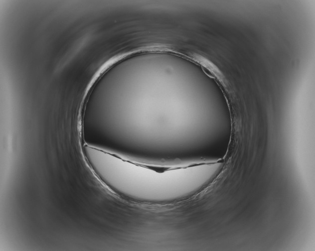 X0000086281428200704122039