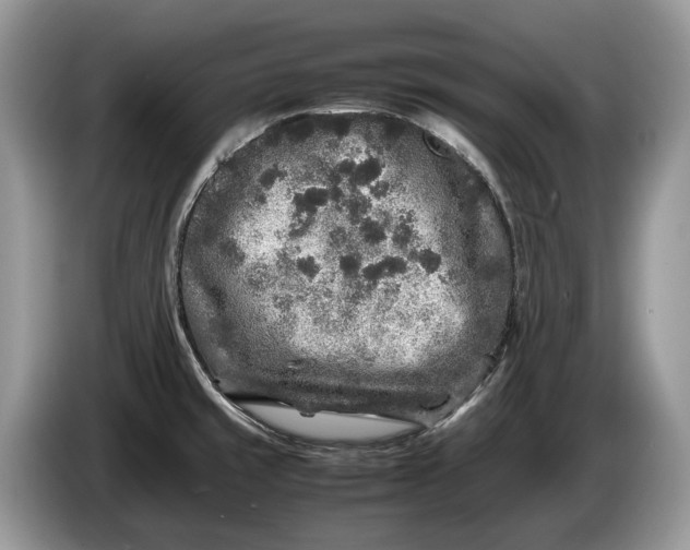 X0000086281429200704122039