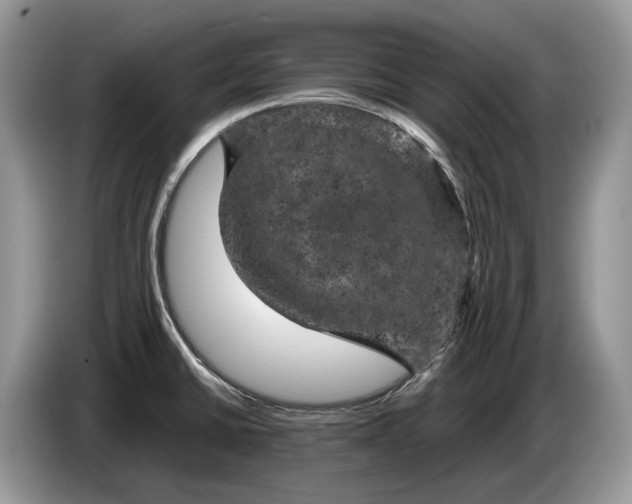 X0000086281430200704122039