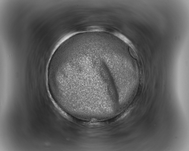 X0000086281431200704122039