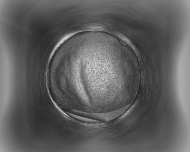 X0000086281432200704122039