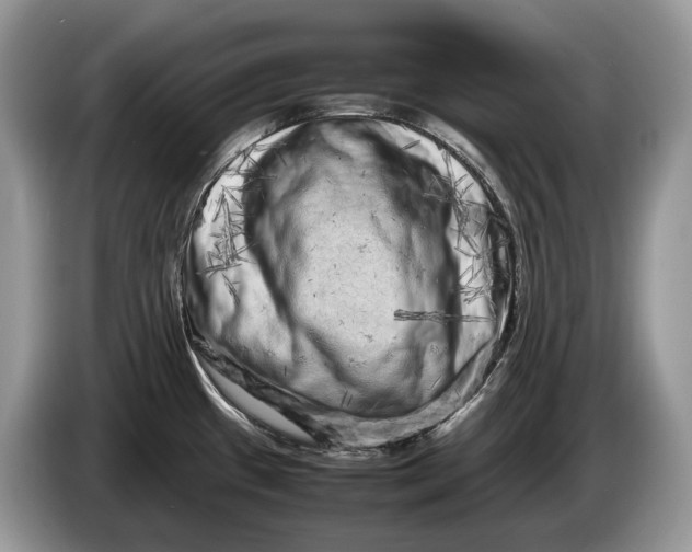 X0000086281433200704122039