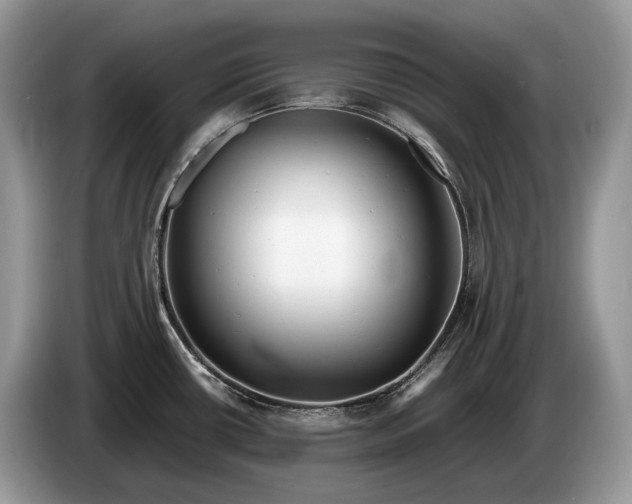 X0000086281434200704122039