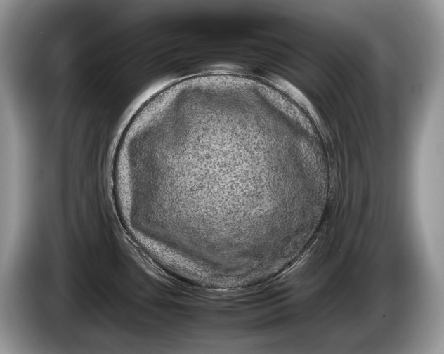 X0000086281435200704122039