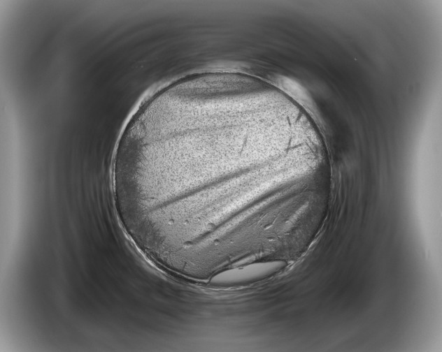 X0000086281436200704122039