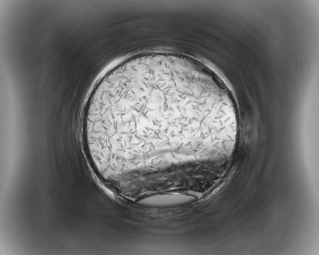 X0000086281437200704122039