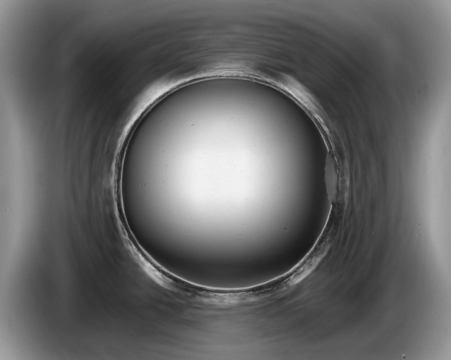 X0000086281438200704122039