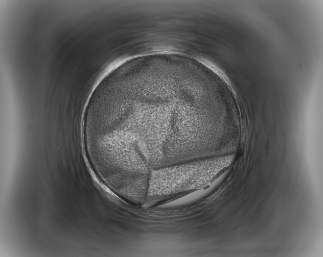 X0000086281439200704122039