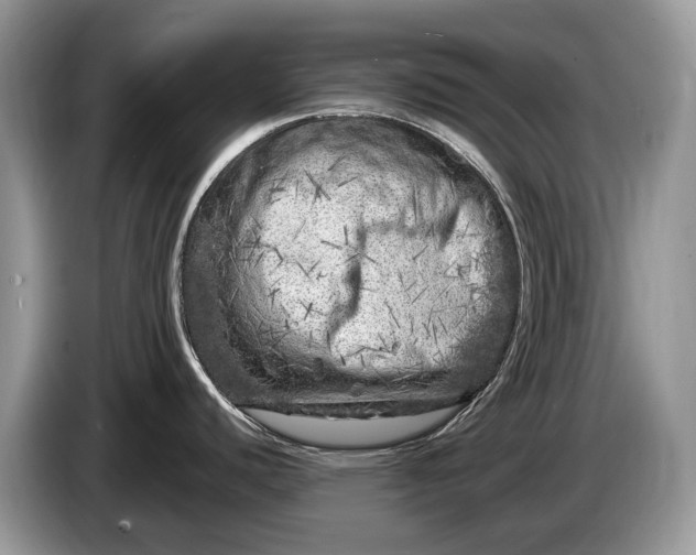 X0000086281440200704122039