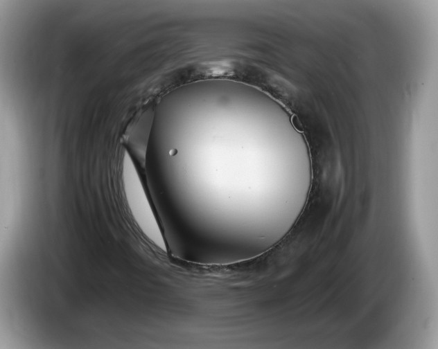 X0000086281442200704122039