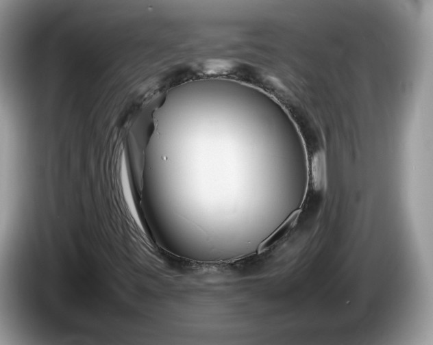 X0000086281443200704122039