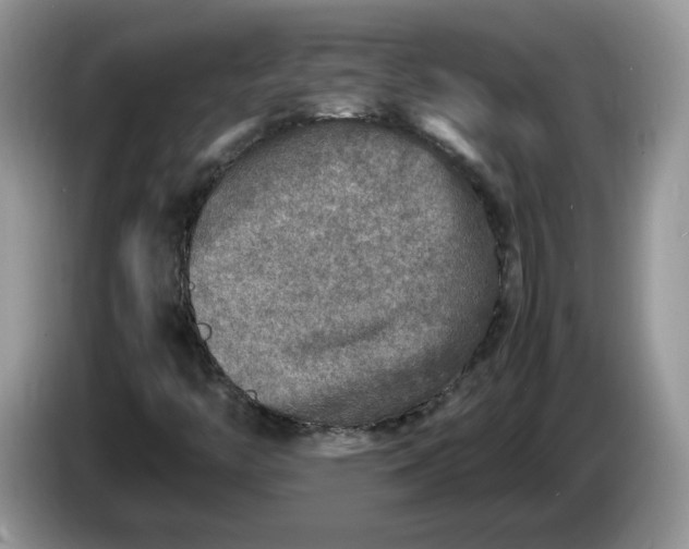 X0000086281446200704122039