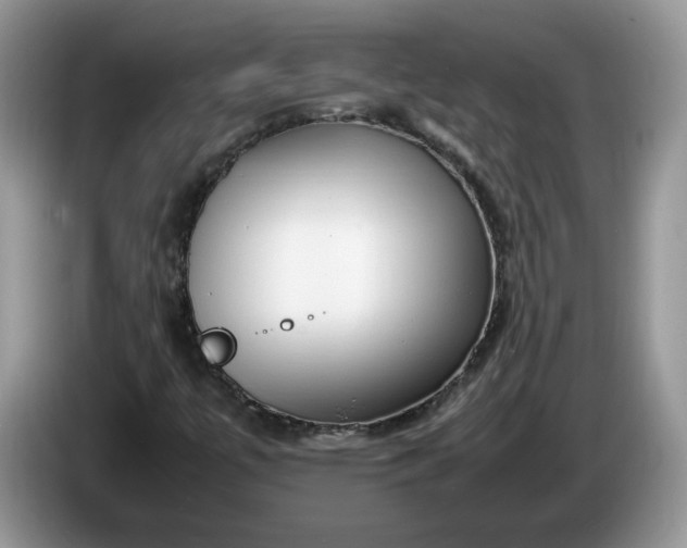 X0000086281447200704122039