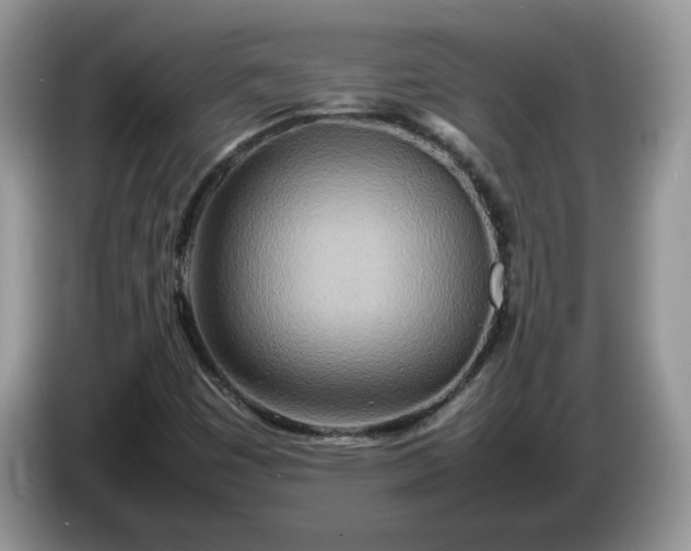 X0000086281449200704122039