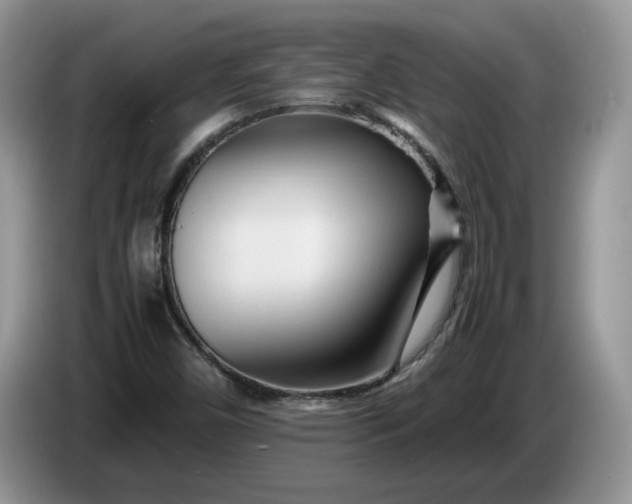 X0000086281450200704122039