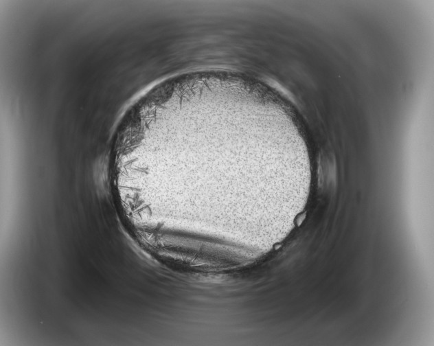 X0000086281452200704122039