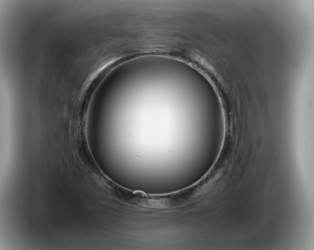 X0000086281453200704122039