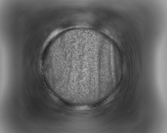 X0000086281454200704122039