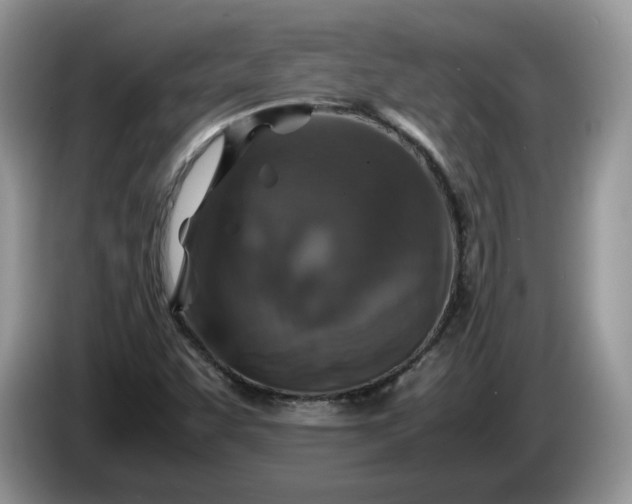 X0000086281455200704122039