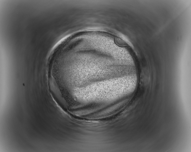 X0000086281456200704122039