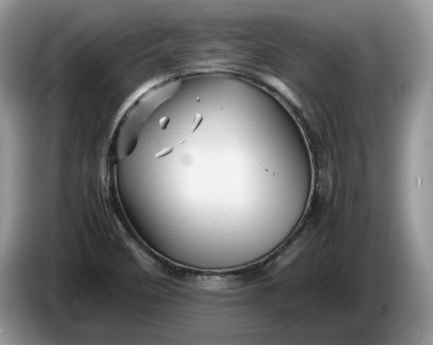 X0000086281458200704122039