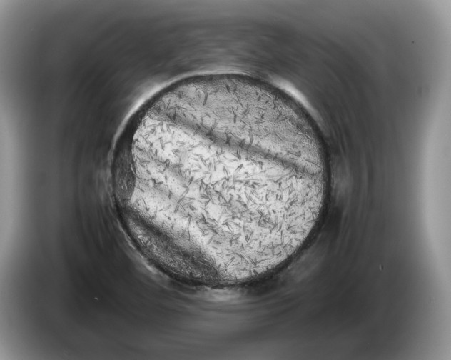 X0000086281460200704122038