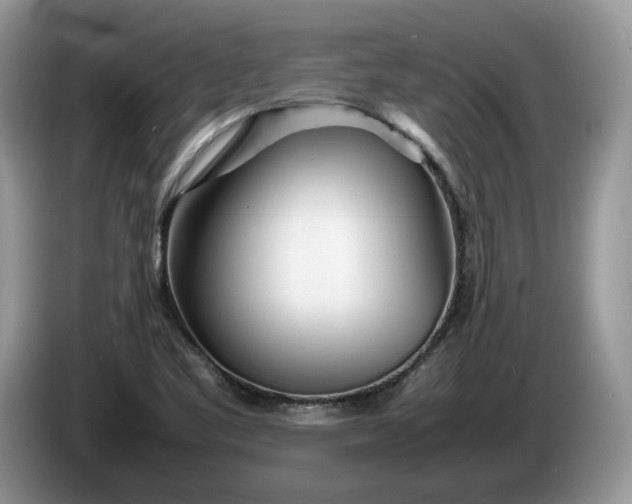 X0000086281461200704122038