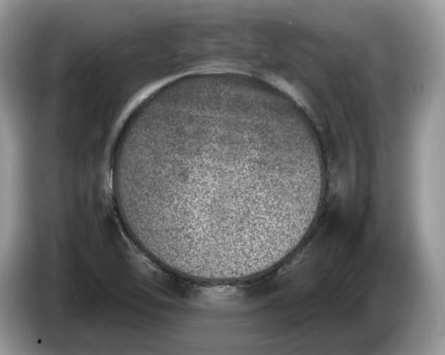 X0000086281462200704122038